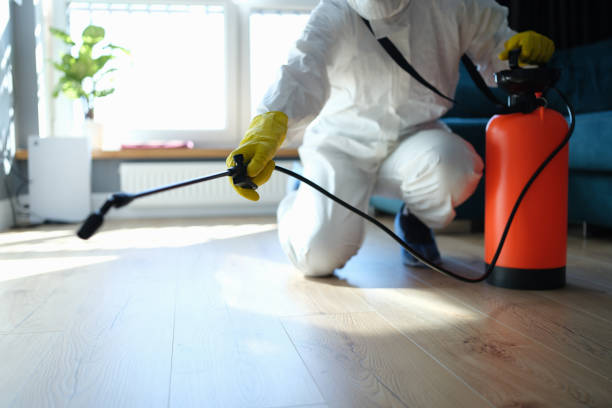 Reliable Sewage Cleanup contractor in Rock Rapids, IA by Trauma Clean Pros